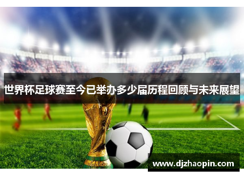 世界杯足球赛至今已举办多少届历程回顾与未来展望